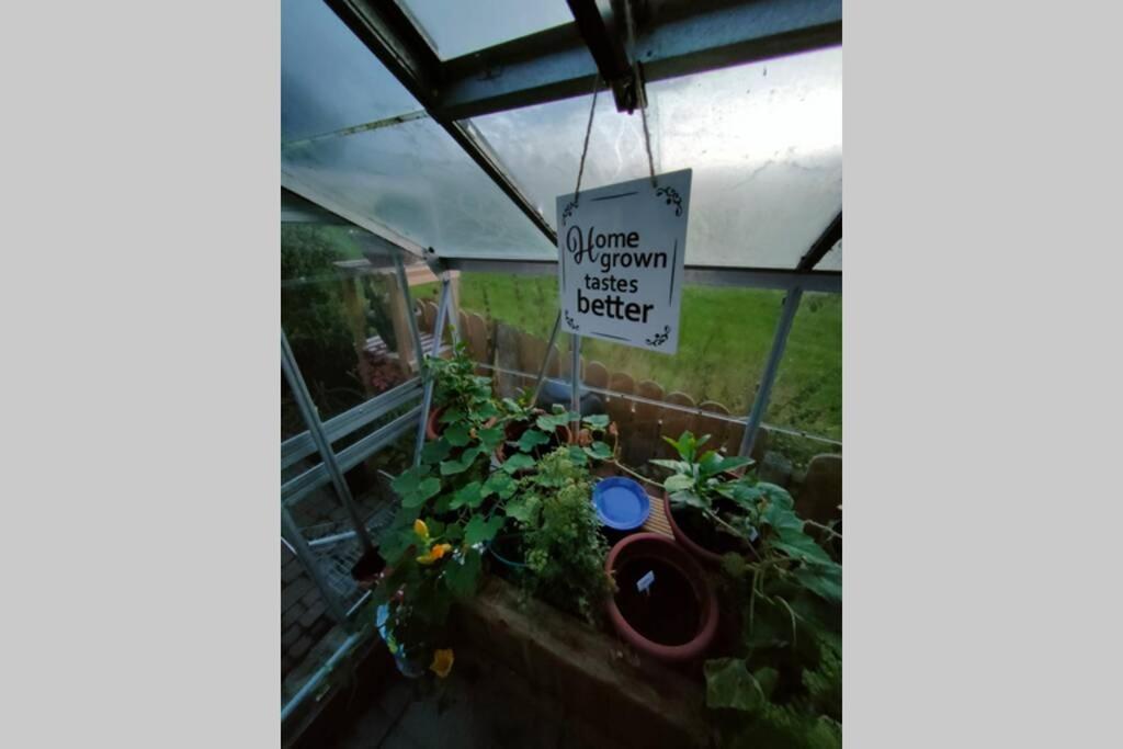 The Loft At Rowantree Cottage Dromara Buitenkant foto